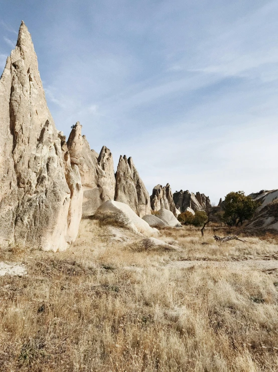 the rocks in the dry grasses are like spires