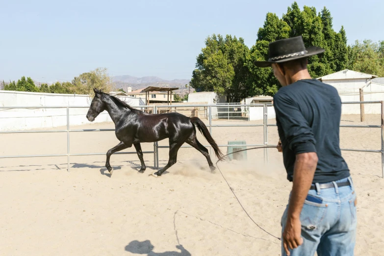 a man is watching a horse run by