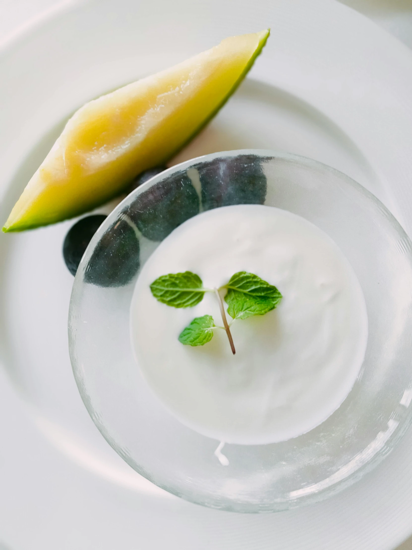 a plate with a piece of green leaf sitting in it