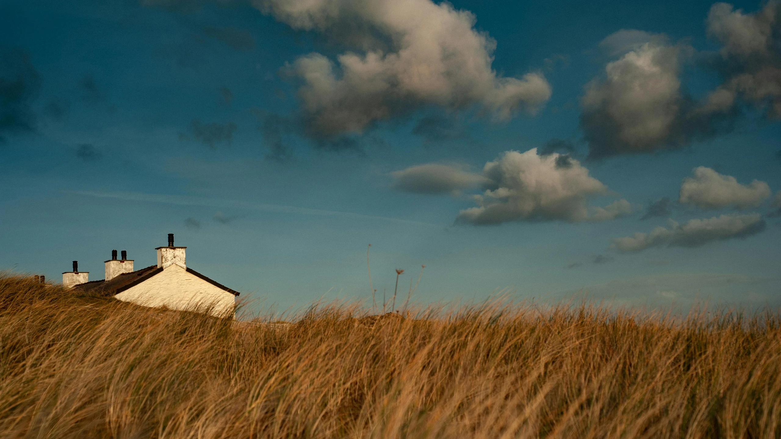 an old abandoned home sitting in the middle of the field