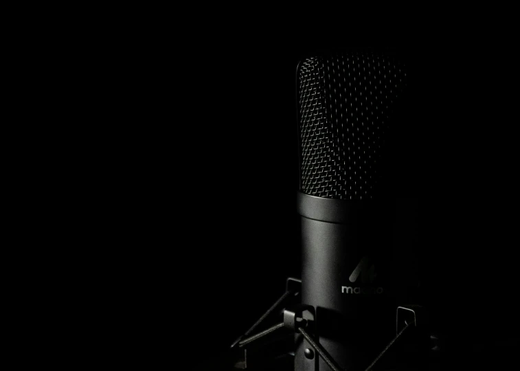 the image of a microphone is black and white