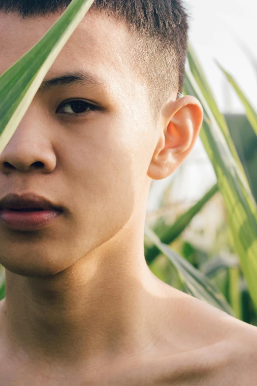 a  has his face partially hidden by long leaves