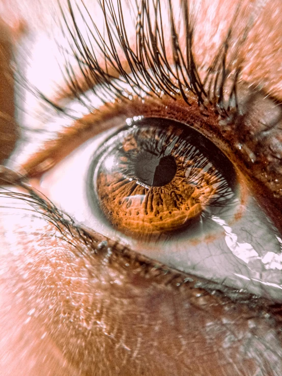 a close up of a human eye showing it's brown color