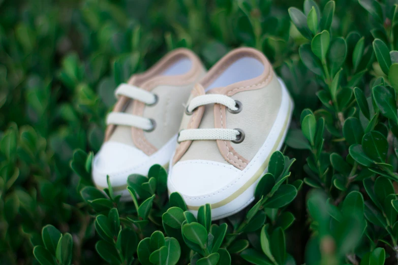 two shoes are laying in the grass together