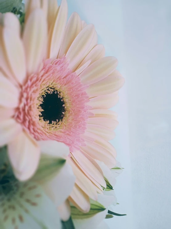 a pink flower sitting in the middle of a table