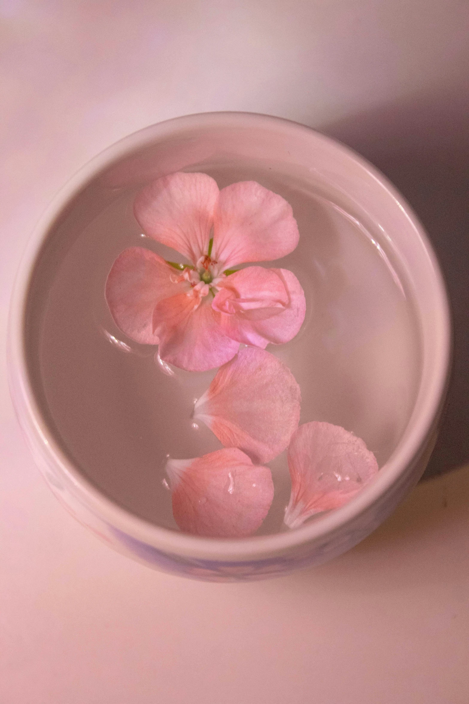 four pink flowers are floating in a small glass bowl