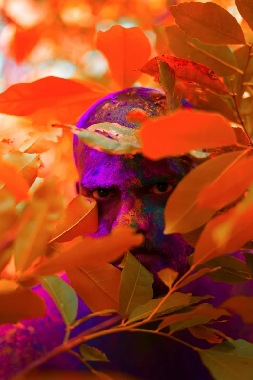 a man is in the trees with orange leaves