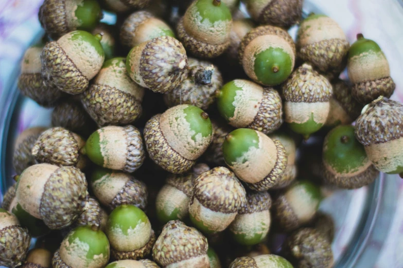 a glass bowl filled with green seed balls