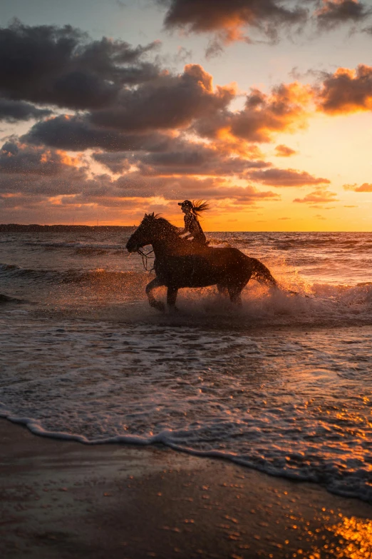 two horses standing in the surf at sunset