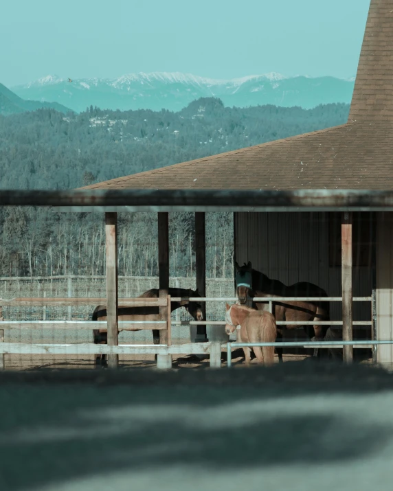 a large barn has animals in the stalls