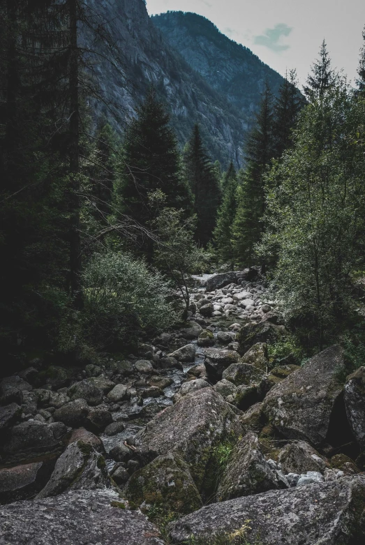 a rocky area with rocks and trees in front of a mountain