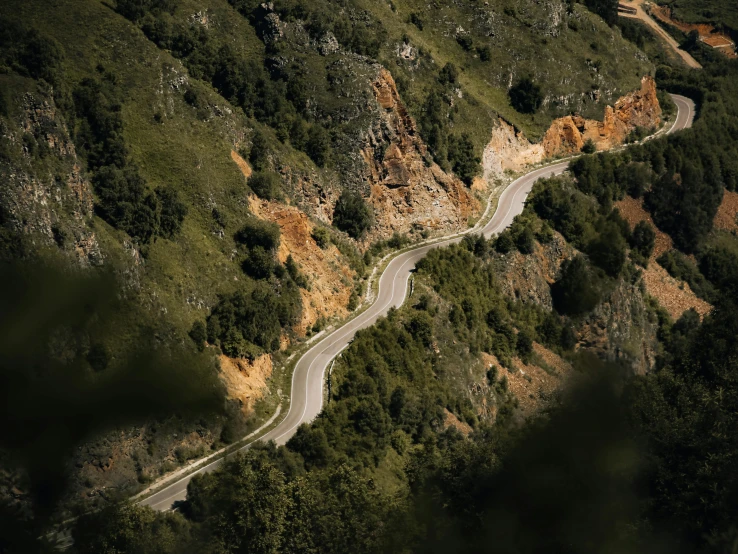 a road winding into two sides of a forested hill side