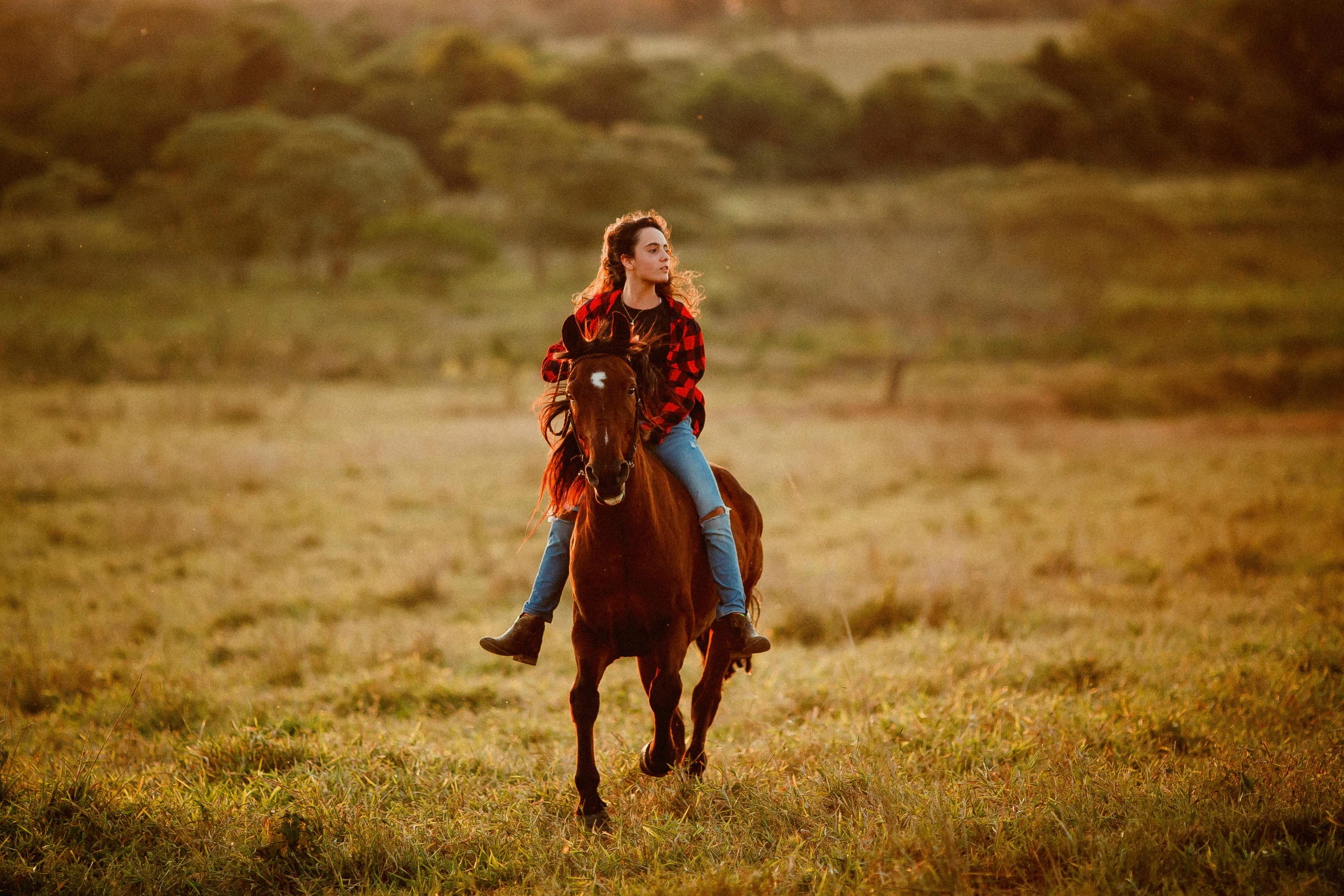 a woman on top of a brown horse in the grass
