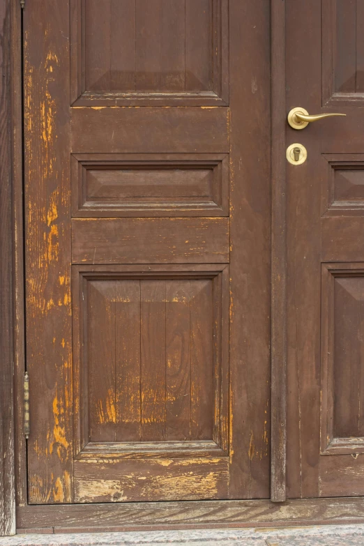 a cat on the side walk looks at the door handle