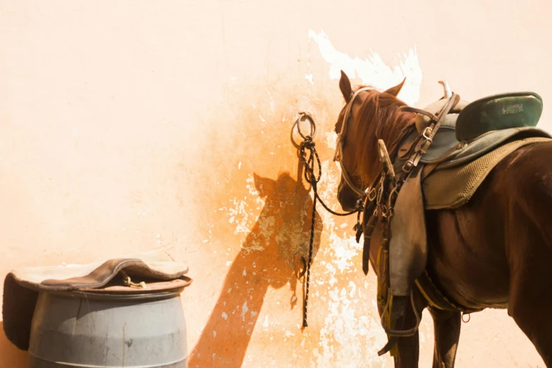 a horse standing next to a metal barrel