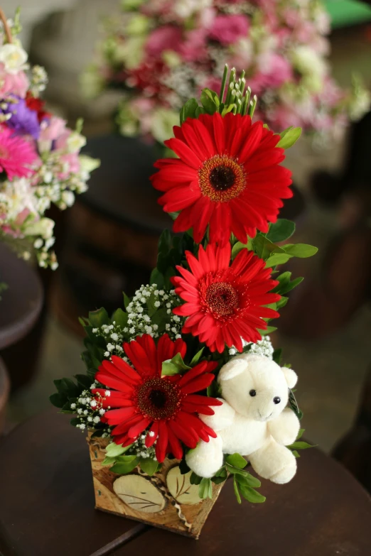 red daisies and white teddy bear in small vase with flowers