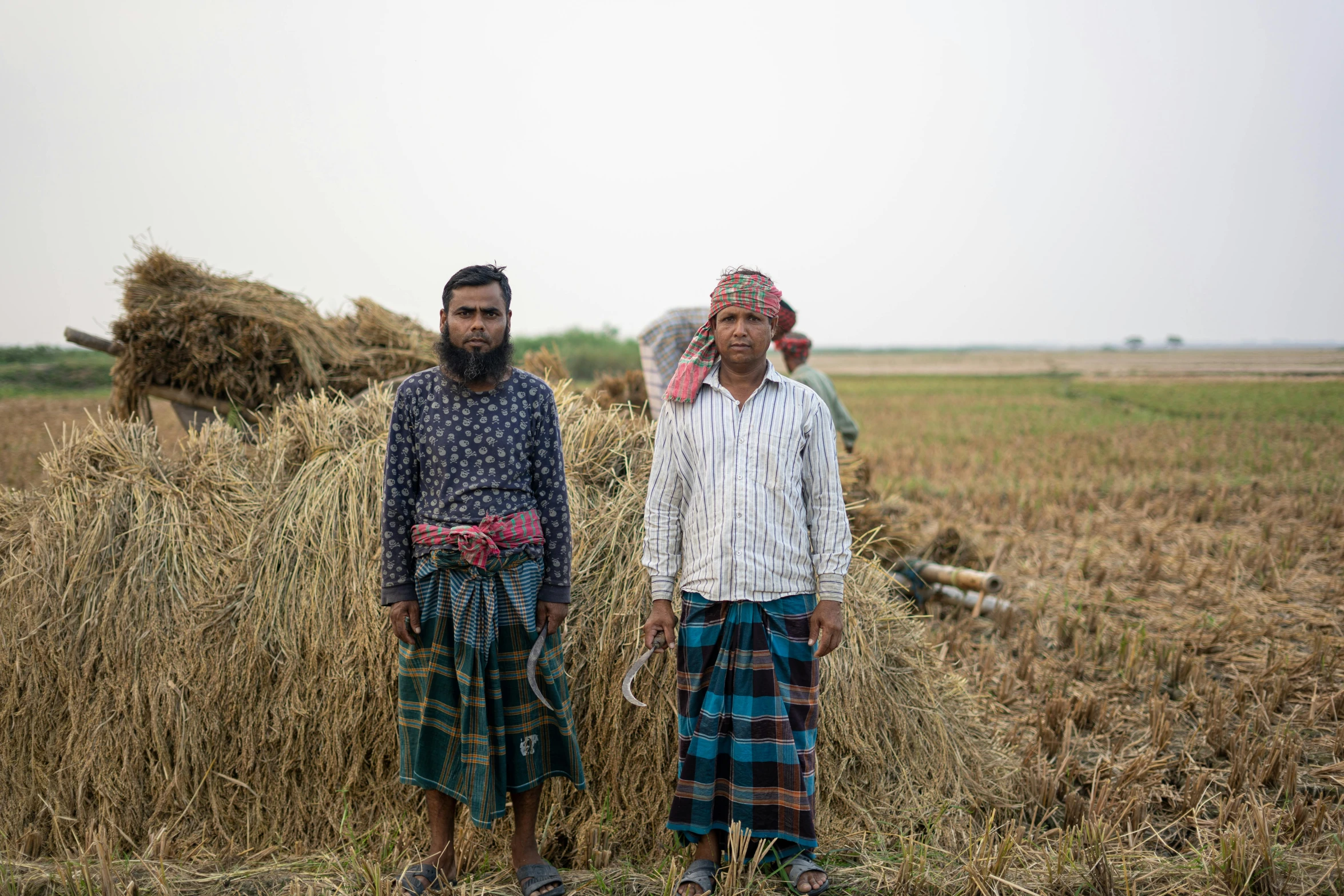 two men standing in a field with hay