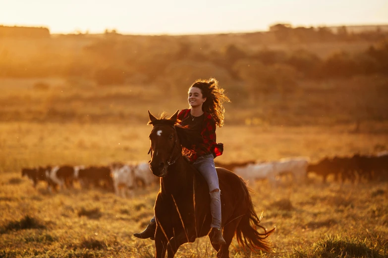 woman on horse riding in open area with cows grazing