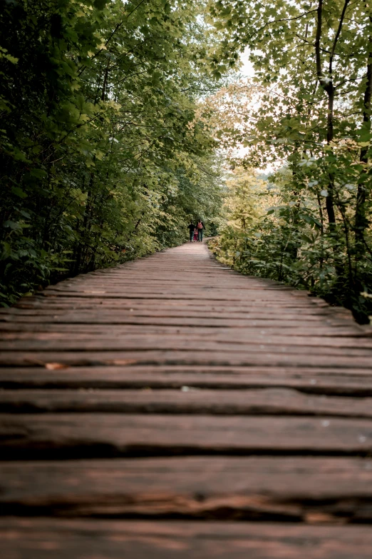 a wooden walkway with a forest behind it