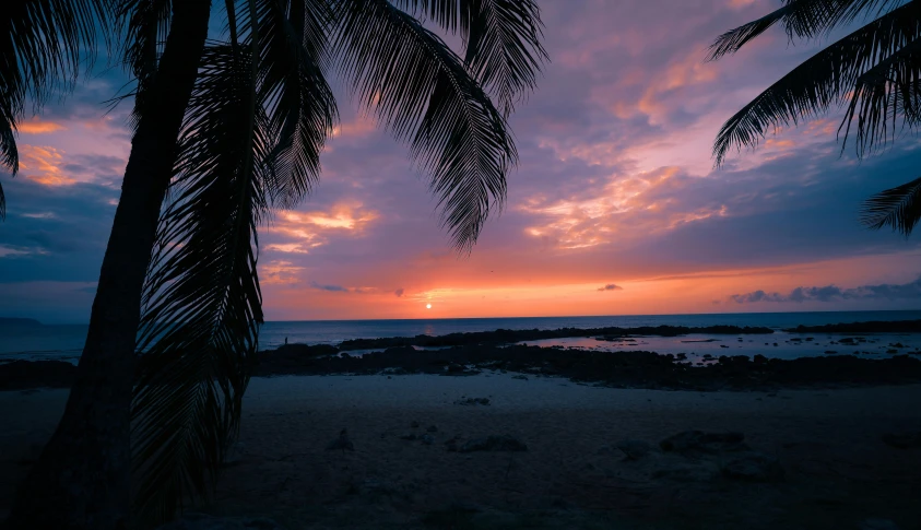 palm trees are silhouetted by the sun during a cloudy sunset