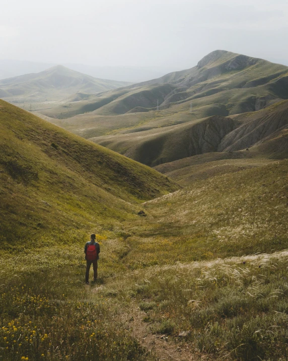 the person is walking through the wide open field