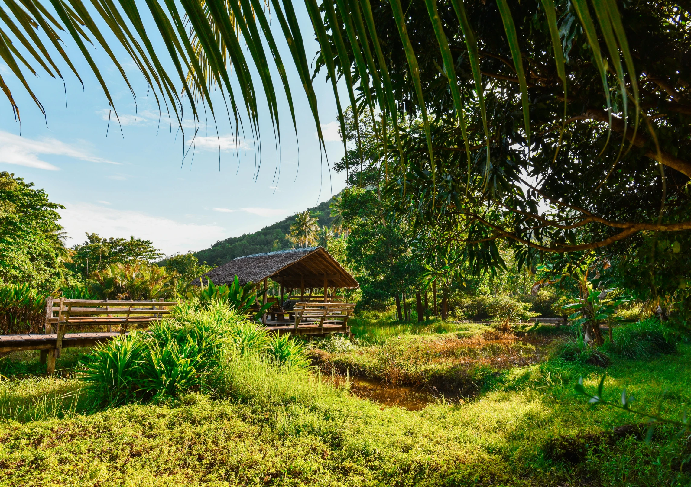 several benches set up in the shade on the hillside