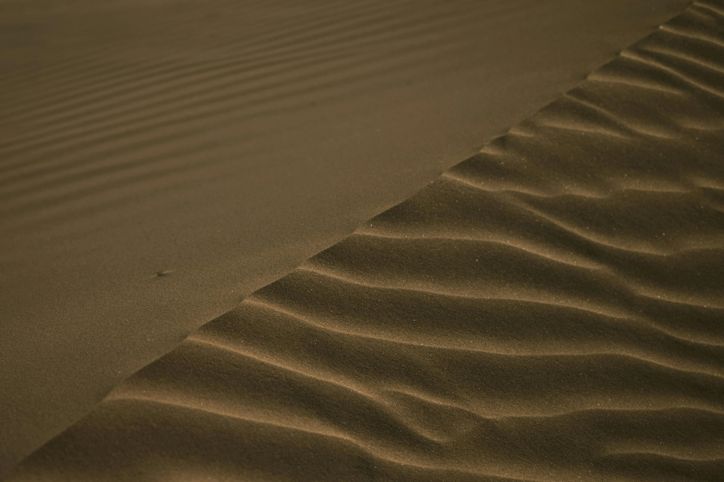 the wind is blowing through the dunes with sand