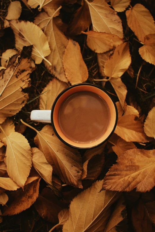 a cup of coffee is in the center of a pile of leaf litter