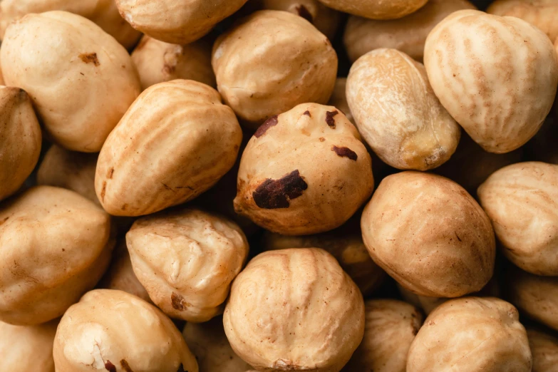 closeup of nuts with brown kernels on them