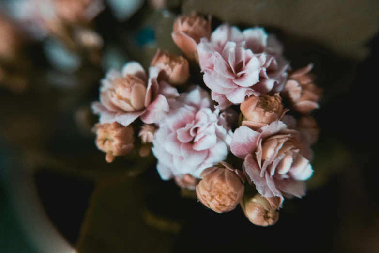 flowers sitting on top of a dark brown pot