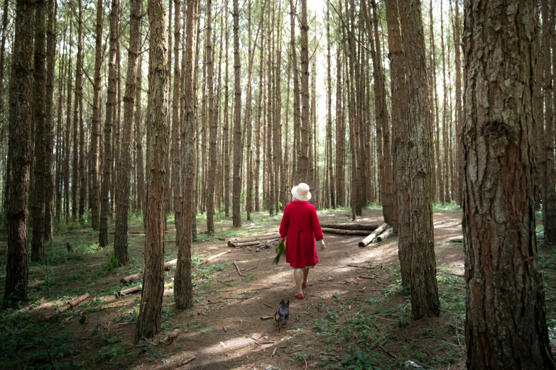 an older woman walking in the woods between tall trees