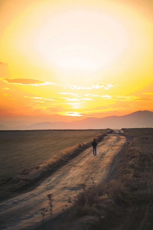 person riding a horse along an empty road