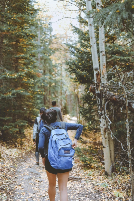 two people walking down a leaf covered path