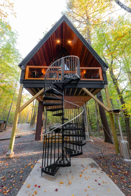 a wooden cabin with a spiral staircase going down