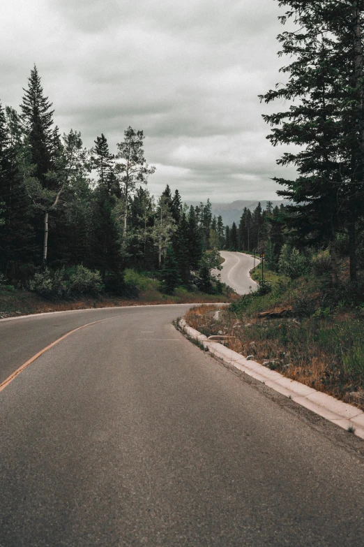 a curved roadway on a rainy day in the woods