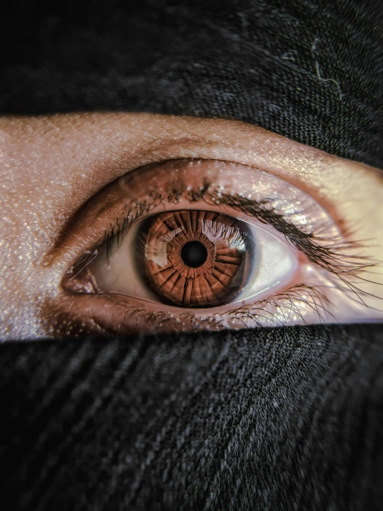 an image of a person eye looking in to the camera