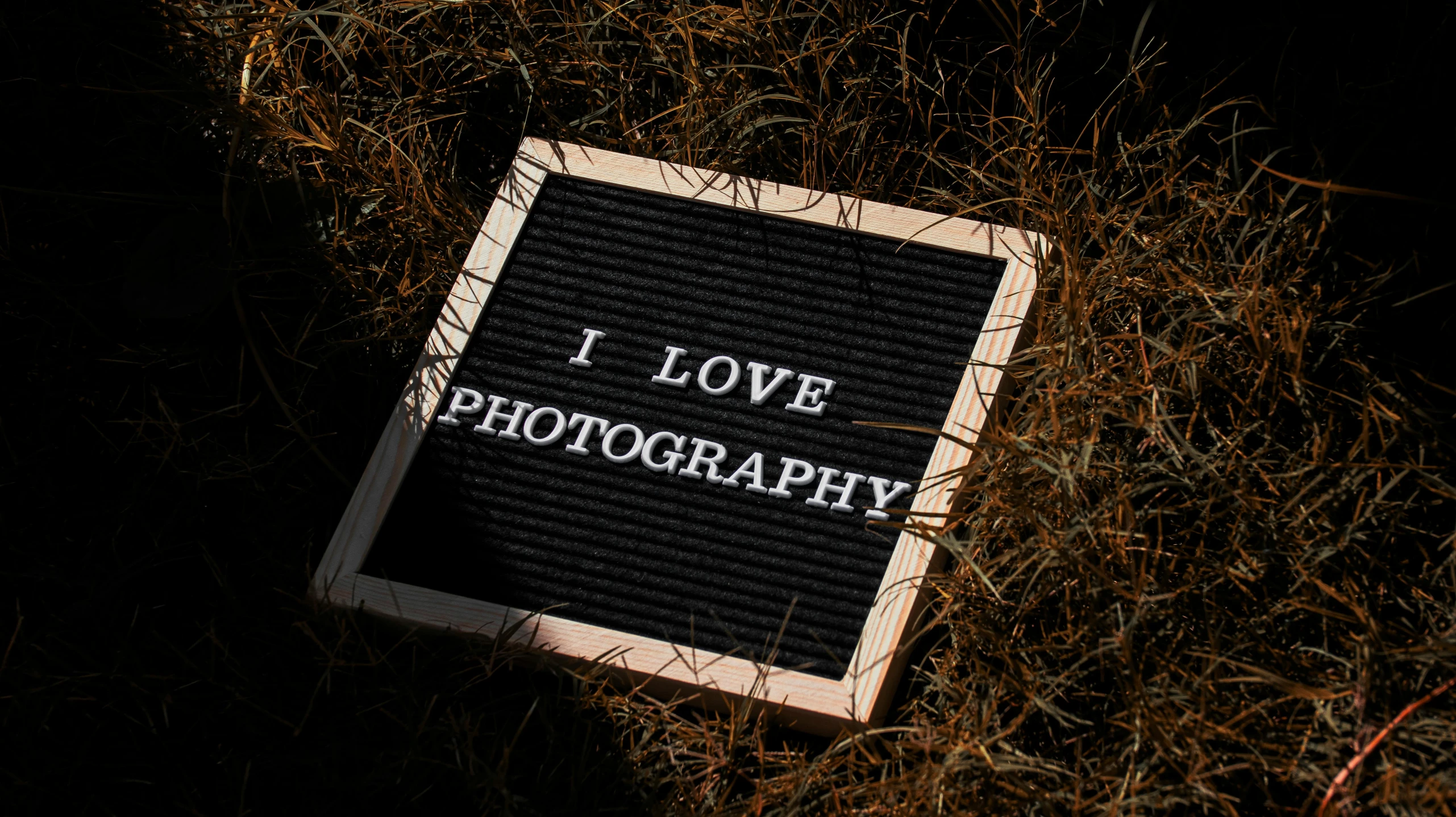 a sign on the ground next to some tall grass