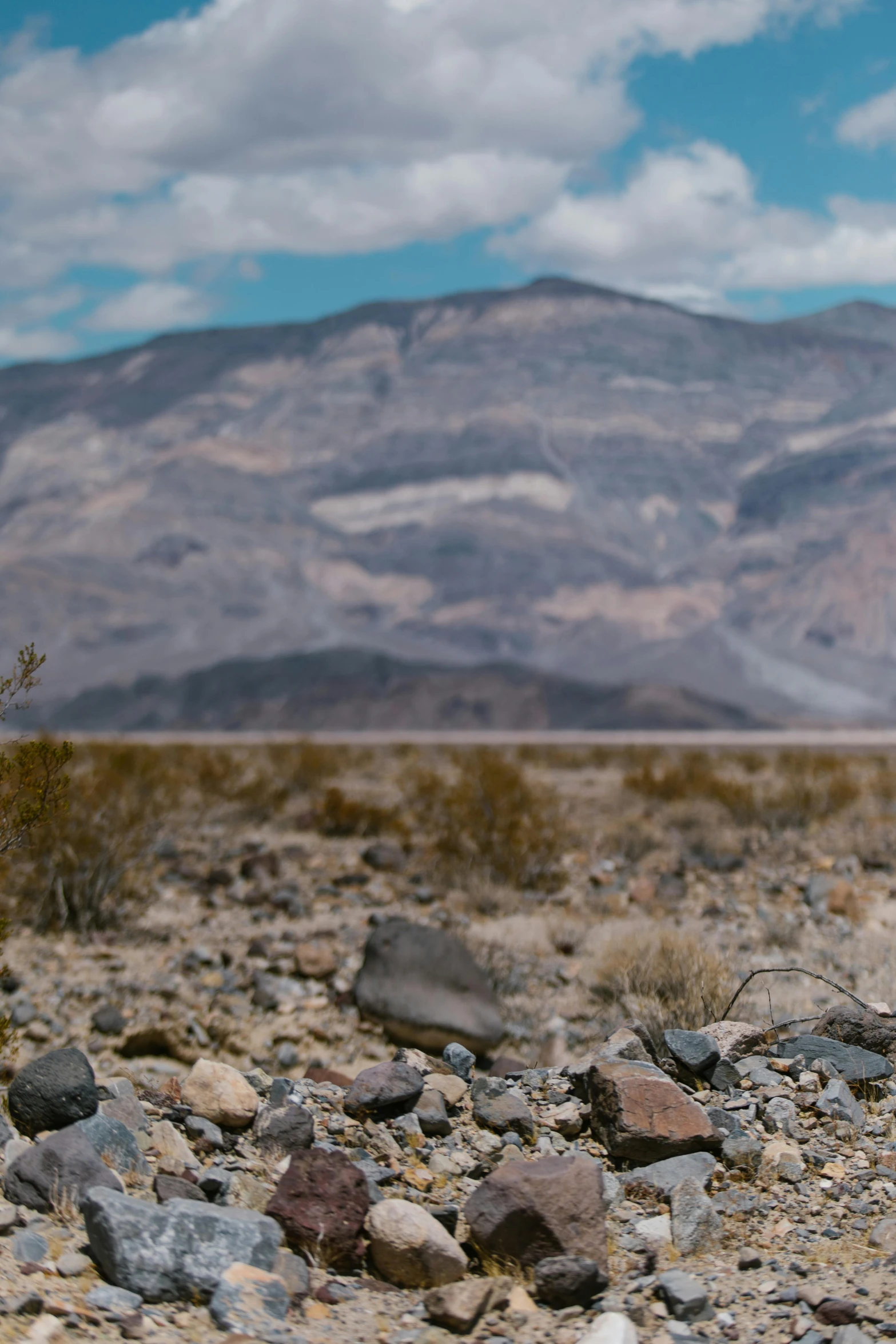 a desert scene with rocks and plants in the foreground