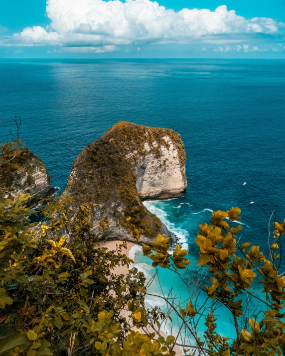 a beach with blue water and trees next to it