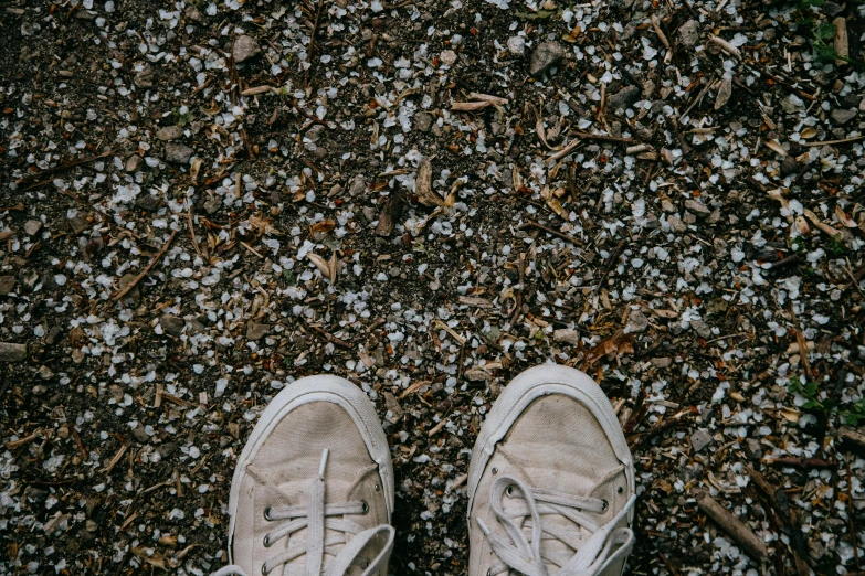 a white shoe sits on the ground by some debris