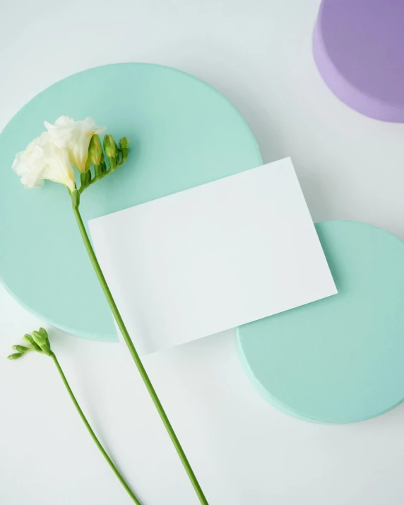 a white flower is on a blue plate