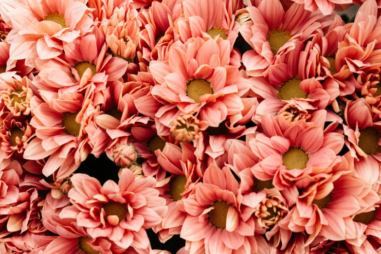 an arrangement of pink flowers arranged in a bouquet