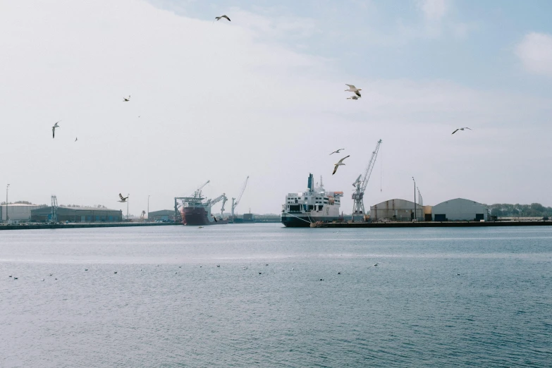 some birds flying over some large ships on the water