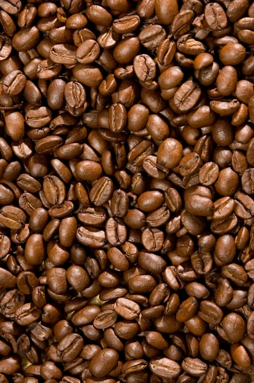 large pile of roasted coffee beans with no one inside