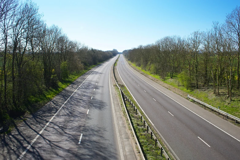 a straight road surrounded by trees and a forest