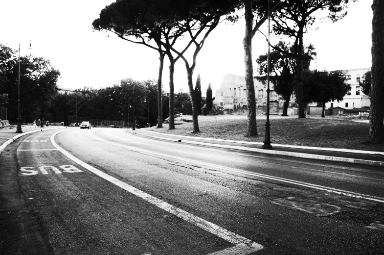 a paved road surrounded by trees and shrubs