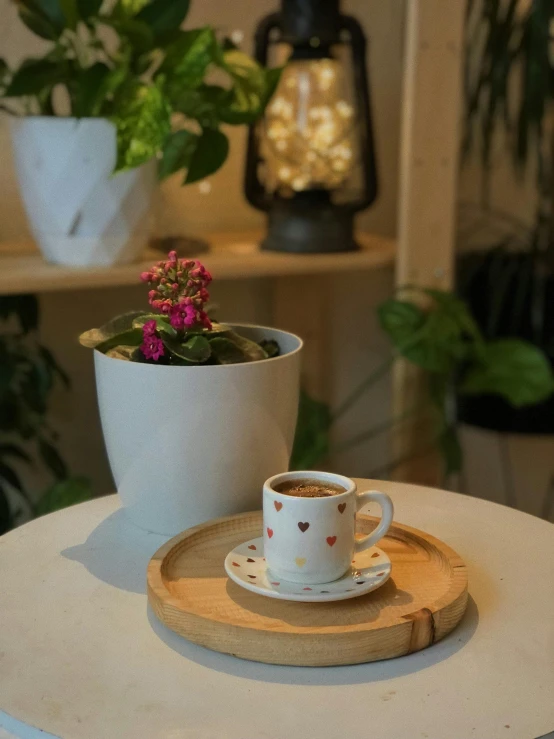 a small cup on a saucer on a table with a plant next to it