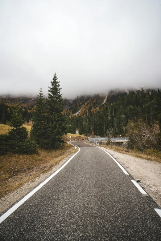 an open road in the middle of some trees