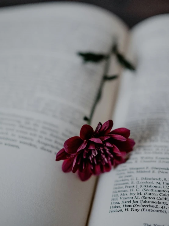 a close up of a book with flowers coming out