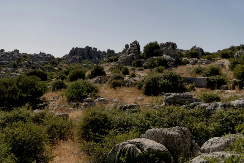 a grassy hill with lots of large rocks